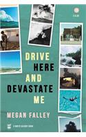 Drive Here and Devastate Me