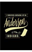 I Survived Growing Up In Anderson Indiana