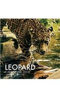 Leopard Calendar 2018: 16 Month Calendar