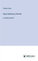 Aquis Submersus; Novelle