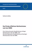 Das Prinzip effektiven Rechtsschutzes nach der EMRK: Eine Untersuchung der Gewaehrleistung richtigen Rechtsschutzes nach der EMRK unter Beruecksichtigung der Gewaehrleistung rechtzeitigen Rechtsschutze