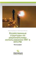 Khozyaystvennye Struktury Po Ratsional'nomu Ispol'zovaniyu PNG V Ngk RF