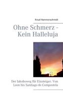Ohne Schmerz - Kein Halleluja