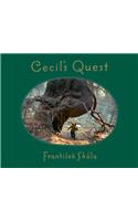 Frantiﬂek Skála: Cecil's Quest