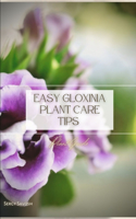 Easy Gloxinia Plant Care Tips