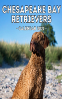 Chesapeake Bay Retrievers Calendar 2021: 16-Month Calendar, Cute Gift Idea For Retriever Lovers Women & Men