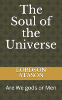 The Soul of the Universe: Are We gods or Men