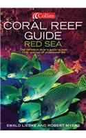 Coral Reef Guide: Red Sea