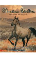 Phantom Stallion #13: Heartbreak Bronco: (13 Phantom Stallion (eBook))