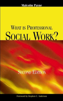 What Is Professional Social Work?