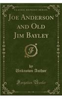 Joe Anderson and Old Jim Bayley (Classic Reprint)