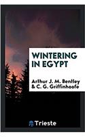 WINTERING IN EGYPT