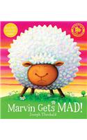 Marvin Gets Mad