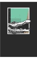 Crocodile Abstract Square