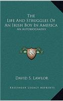 The Life And Struggles Of An Irish Boy In America