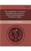 The Experience of Shame and Guilt by Mothers While Breastfeeding a Firstborn Baby