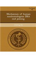 Mechanism of Human Nonhomologous DNA End Joining