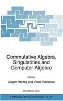 Commutative Algebra, Singularities and Computer Algebra