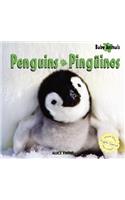 Penguins / Pinguinos