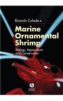 Marine Ornamental Shrimp