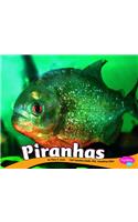 Piranhas