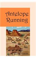 Antelope Running