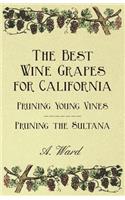 Best Wine Grapes for California - Pruning Young Vines - Pruning the Sultana