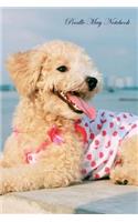 Poodle May Notebook Poodle Record, Log, Diary, Special Memories, To Do List, Academic Notepad, Scrapbook & More