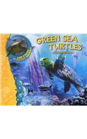 Us Lcma Green Sea Turtles