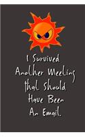 I Survived Another Meeting That Should Have Been An Email.