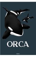 Orca Notebook