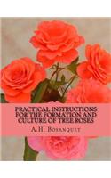 Practical Instructions For The Formation and Culture of Tree Roses