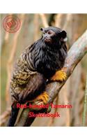 Red-handed Tamarin Sketchbook: (Sketchbook for Teens)