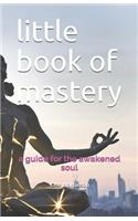 Little Book of Mastery