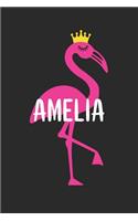 Amelia's Notebook