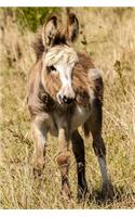 Hello, Little Donkey Journal: 150 Page Lined Notebook/Diary