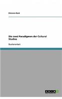 Die zwei Paradigmen der Cultural Studies