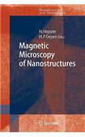 Magnetic Microscopy of Nanostructures