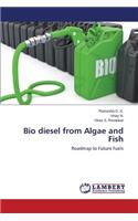 Bio diesel from Algae and Fish