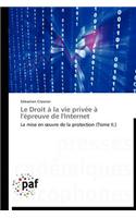 Droit À La Vie Privée À l'Épreuve de l'Internet