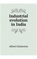 Industrial Evolution in India