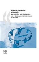 Maladie, Invalidite Et Travail: Surmonter Les Obstacles (Vol. 3) : Danemark, Finlande, Irlande Et Pays-Bas