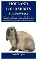 Holland Lop Rabbits for Newbies