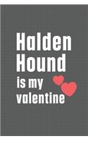 Halden Hound is my valentine: For Halden Hound Dog Fans