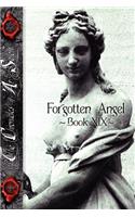 Forgotten Angel