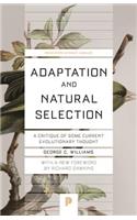 Adaptation and Natural Selection