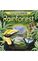 Rainforest