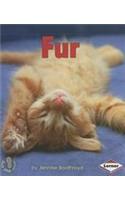 Fur