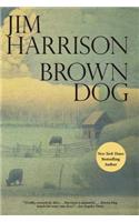 Brown Dog
