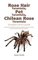 Rose Hair Tarantula, Pet Tarantula, Chilean Rose Tarantula